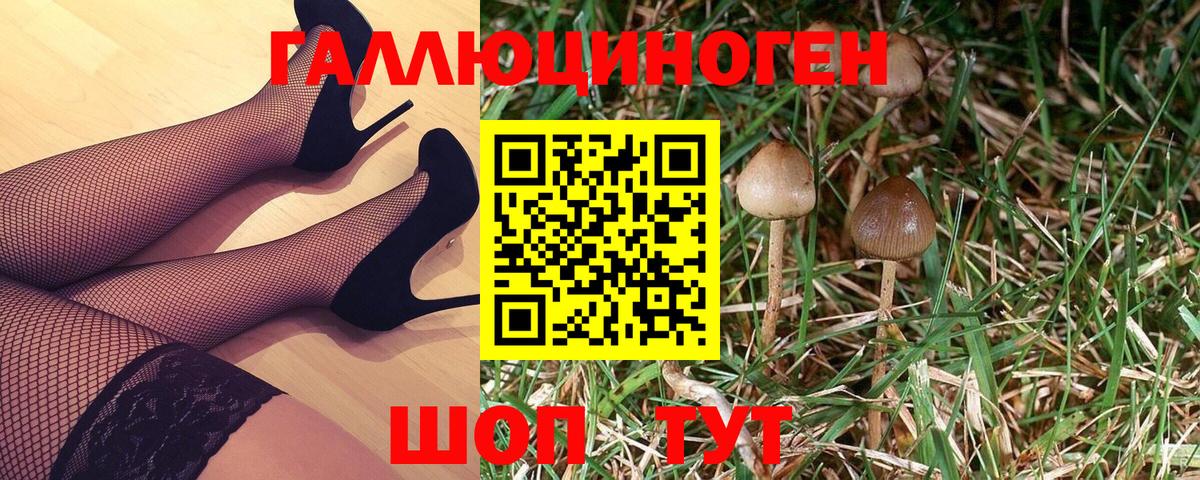 Псилоцибиновые грибы GOLDEN TEACHER  наркота  Чита  Вход с VPN 